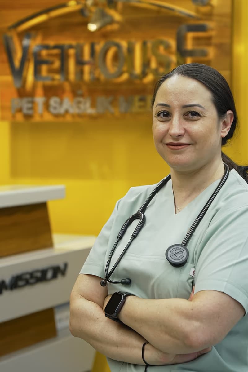 Burcu TENGİRŞENK