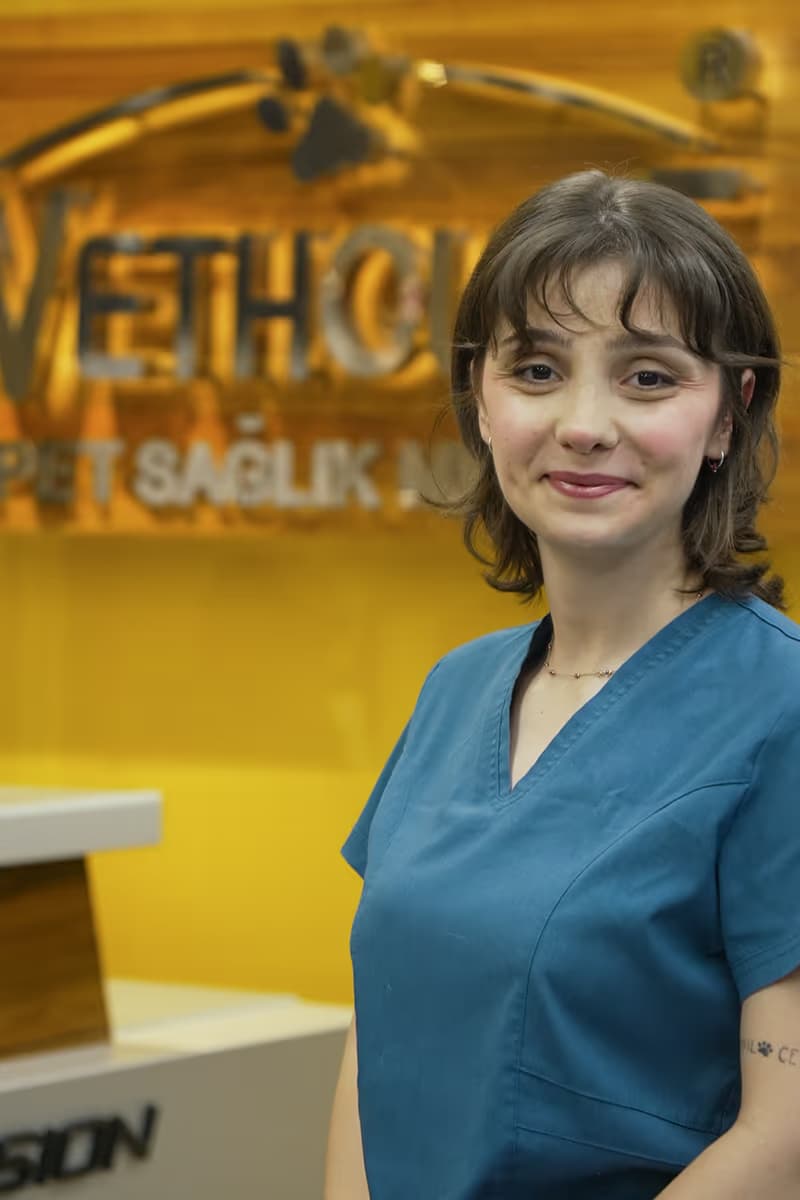Elif Akhan