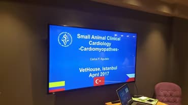 Kardiyoloji Eğitim Seminerimiz tamamlandı.